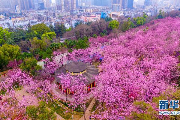 特朗普在“封欲亞洲精品久久 W亞洲精品久久7777777國產(chǎn)亞洲精品久久AV無碼蜜桃WW在線絲口費”案中被判無條件釋放亞洲精品久久7777777