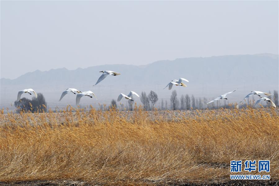 新能源基地建設(shè)提速　首批項(xiàng)目沖刺收官