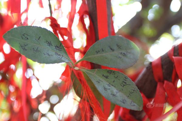 全球最大華龍一號(hào)核電基地新年“開(kāi)門(mén)紅”！漳州核電1號(hào)機(jī)組投入商運(yùn)