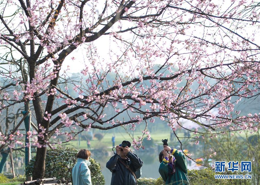 江西上高：鄉(xiāng)村文化搭上文旅快車(chē)