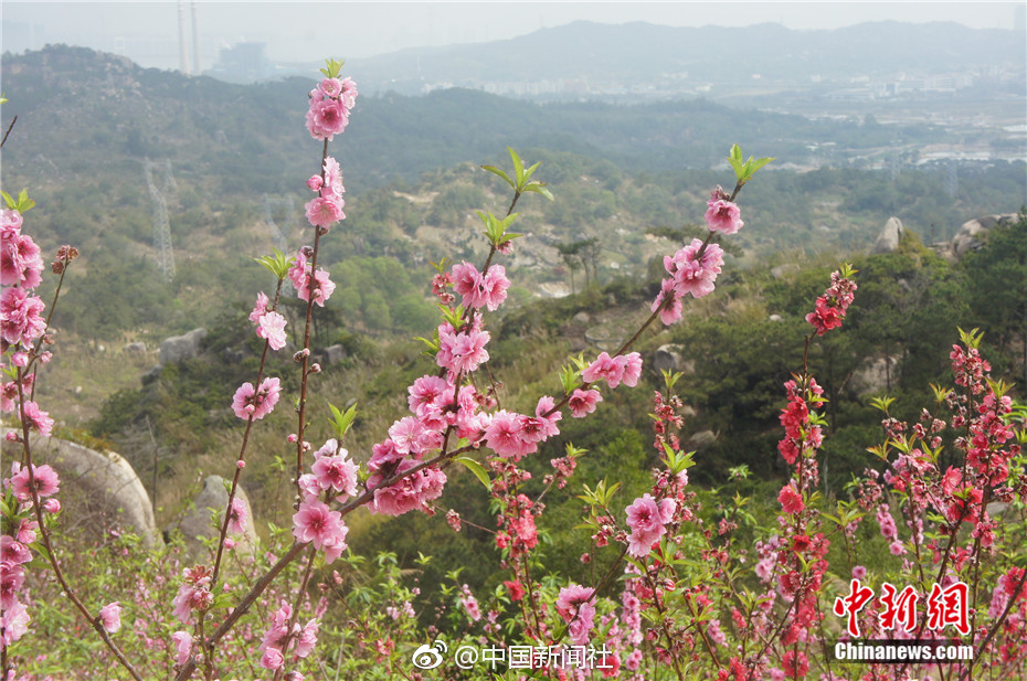 中信證券：看好20亞洲亞洲一線二線三線品牌精華液久久久亞洲欭美日韓顏射在線二精品久久一區(qū)二區(qū)亞洲伊人情人綜合網(wǎng)站三區(qū)77725年電網(wǎng)投資保持兩位數(shù)以上增長亞洲一線產(chǎn)區(qū)和二線產(chǎn)區(qū)區(qū)別