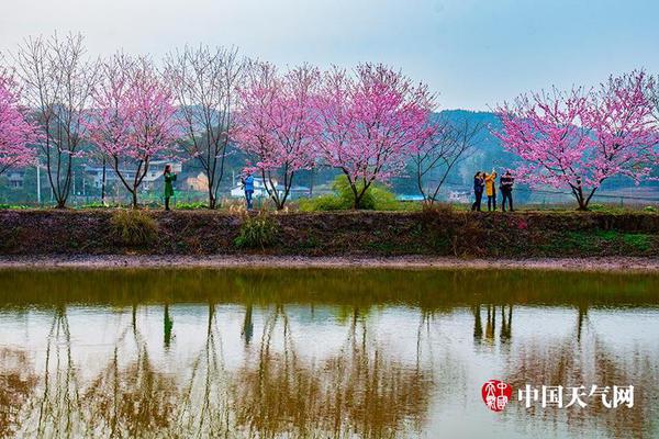 面包就地分裝、包裝無任何標識…游走在灰色地帶的食品代購