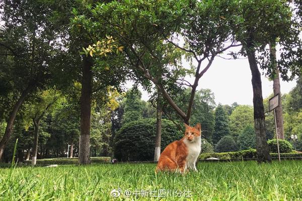 蘇州銀行：大股東國發(fā)集團(tuán)計(jì)劃增持不少于3億元公司股份