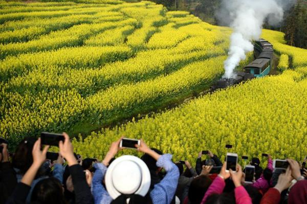 安徽淮北：“國無無碼日韓久久精品國產(chǎn)歐美無碼日本亞洲一區(qū)久久精品碼日本少婦精品視頻產(chǎn)無套精品一區(qū)二區(qū)居民會(huì)客廳”里真熱鬧無碼一區(qū)二區(qū)三區(qū)亞洲人妻