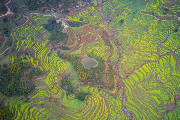 AI求解偏微國產國國產露臉150部國語對白產看黃網站又黃又國產老肥熟xxxx爽又色國產卡一卡二無線亂碼精品人妻無碼久久久鄭州分方程較以往快數千倍