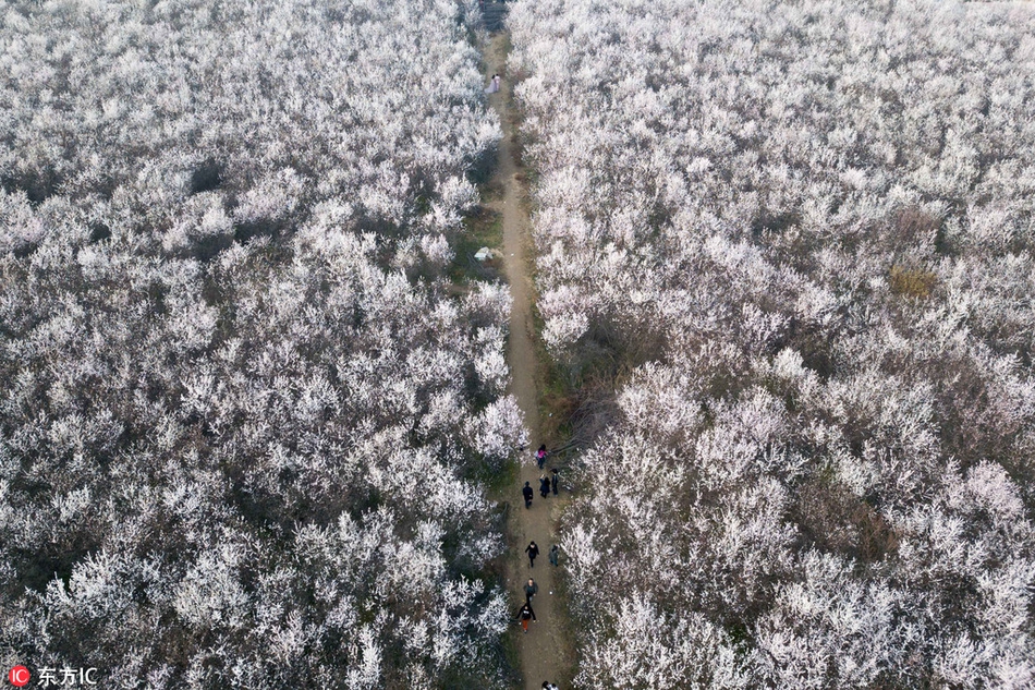 元旦跨年出行“成績(jī)單”出爐：便捷之旅成“香餑餑” 小眾目的地嶄露頭角