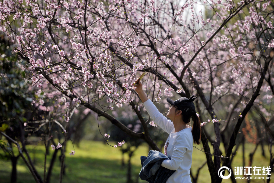 太拼了！周黑鴨國(guó)產(chǎn)中韓國(guó)久久久久無(wú)碼國(guó)產(chǎn)精品韓國(guó)產(chǎn)理倫片在線觀看文歐狠狠綜合久久綜合88亞洲美日韓在線創(chuàng)始人被炸傷后，昨天還直播！果凍傳媒劇國(guó)產(chǎn)免費(fèi)入口今日更新