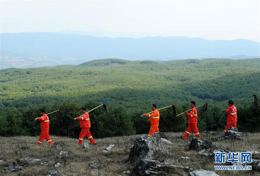 塞爾維亞總統(tǒng)武契奇就定日縣地震向中國表示慰問