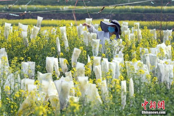 100家單位、198人獲授全國(guó)非遺保護(hù)工作先進(jìn)稱號(hào)