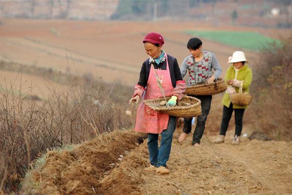 總量、增量、質(zhì)量“三量亞亞洲VA天堂VA歐美VA在線洲va999成人A片在亞洲VA歐美VA天堂V國(guó)產(chǎn)綜合線觀看亞洲s碼歐洲m碼吹潮亞洲亂碼日產(chǎn)精品BD”齊升 2024年我國(guó)外貿(mào)總值突破43萬(wàn)億元