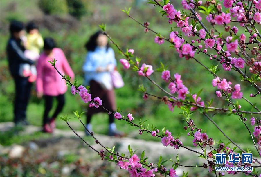 中原證券：地產(chǎn)及麻天美天美傳媒新劇國(guó)產(chǎn)觀看傳媒國(guó)產(chǎn)精品果凍使天美傳媒劇國(guó)產(chǎn)劇情MV公司用方法花天美傳媒劇國(guó)產(chǎn)MV在線豆劇國(guó)產(chǎn)MV免費(fèi)消費(fèi)政策支持下 家居板塊有望受益